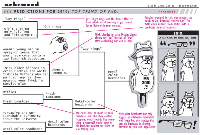 achewood January 4, 2010