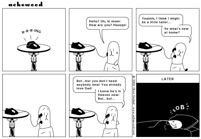 achewood January 29, 2002