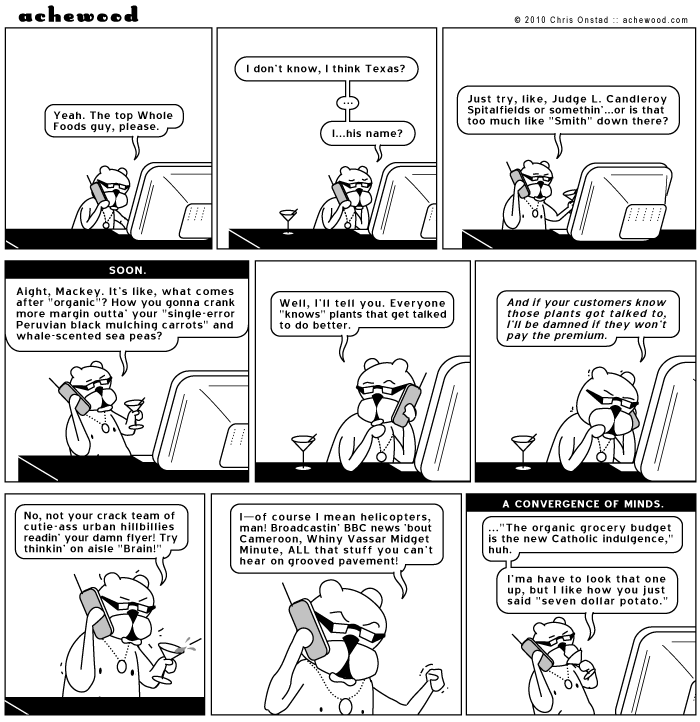 achewood February 2, 2010
