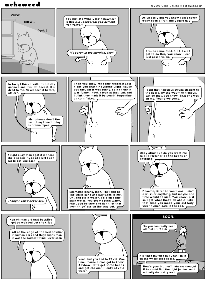 achewood February 13, 2009