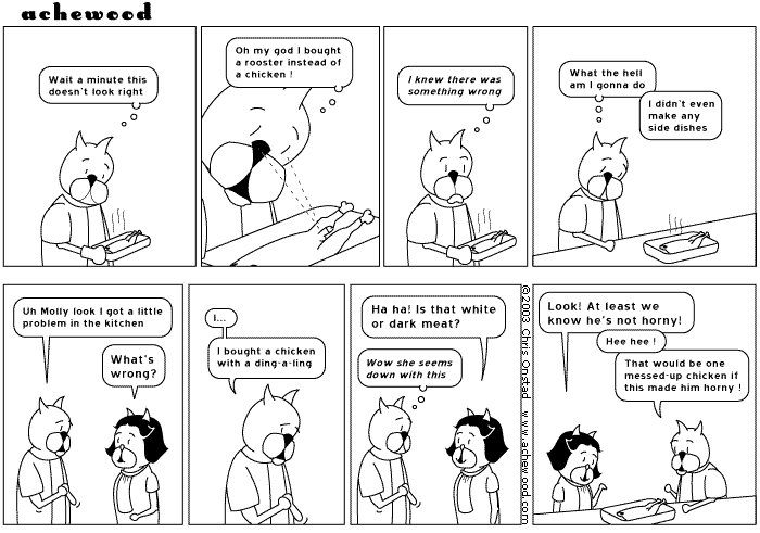 achewood March 13, 2003