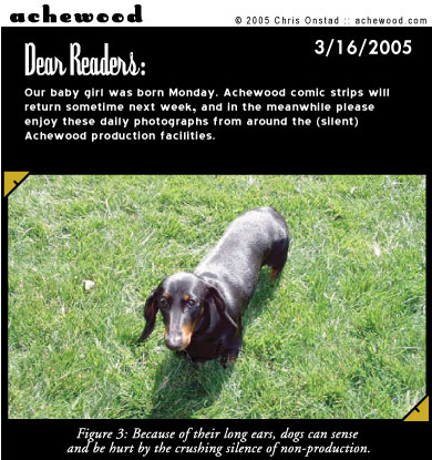 achewood March 16, 2005