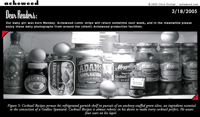 achewood March 18, 2005