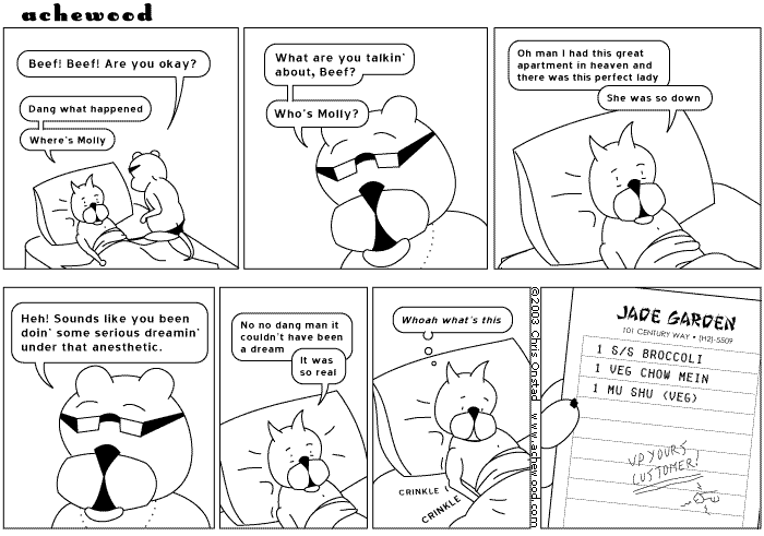 achewood March 21, 2003