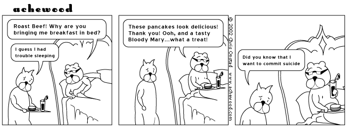 achewood May 7, 2002