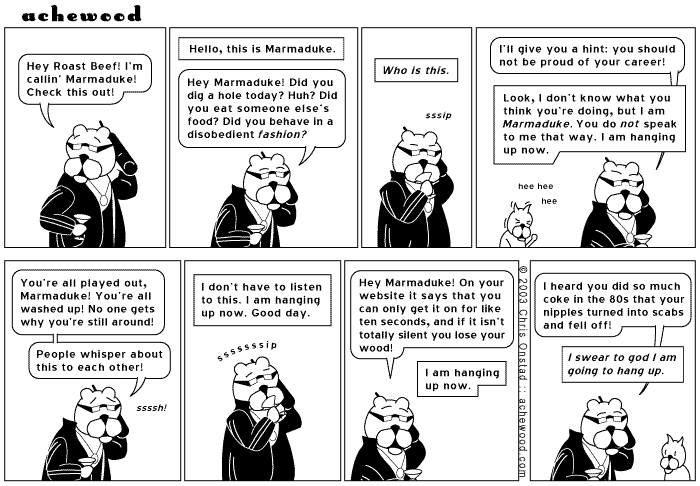 achewood May 20, 2003