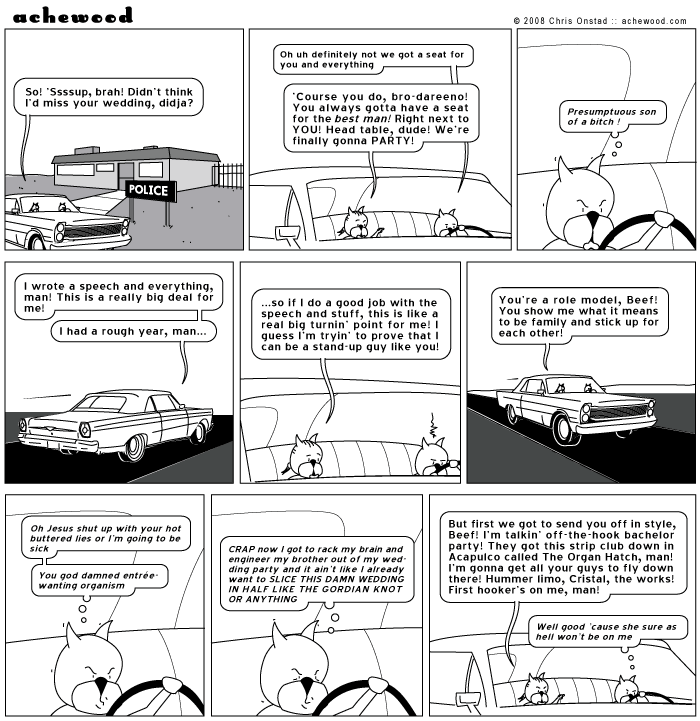 achewood June 11, 2008