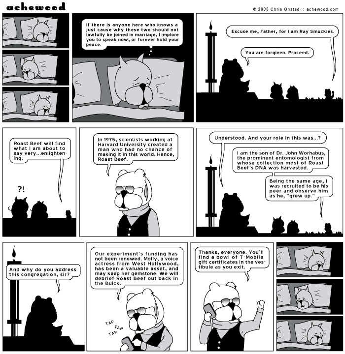achewood June 18, 2008
