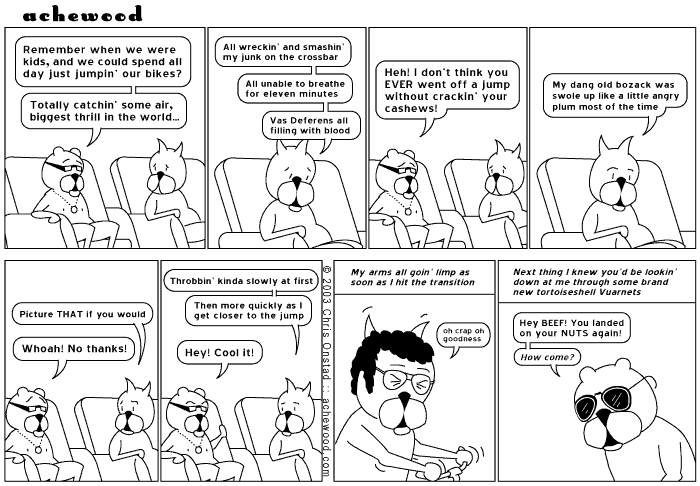 achewood June 19, 2003