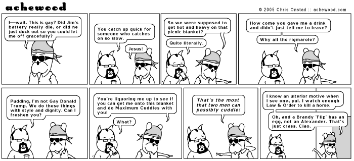 achewood June 20, 2005