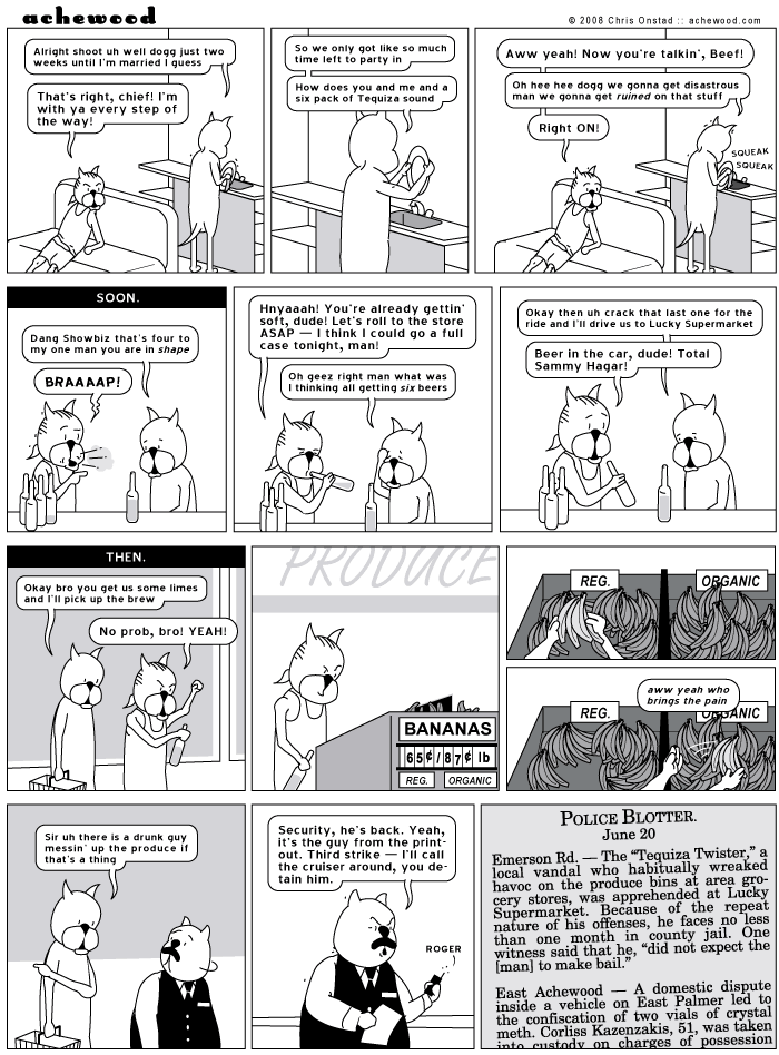 achewood June 20, 2008