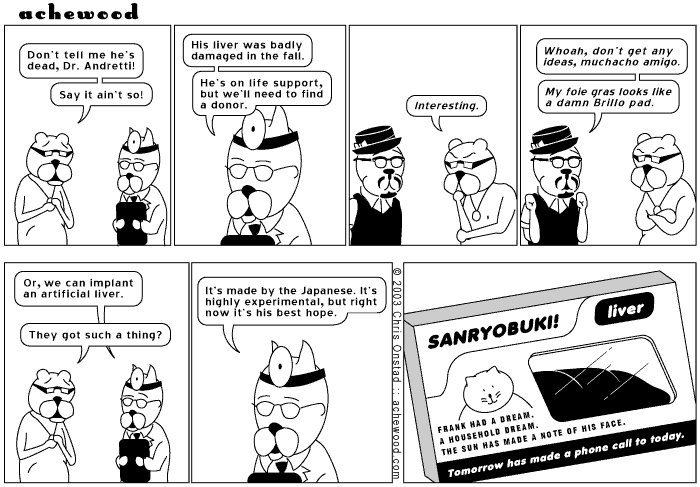 achewood July 1, 2003