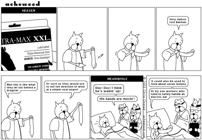 achewood July 7, 2003