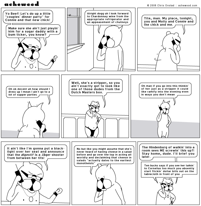 achewood November 17, 2008