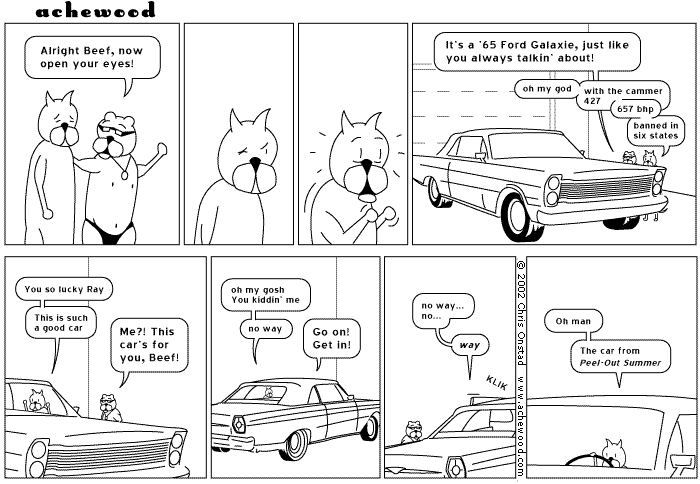 achewood November 25, 2002