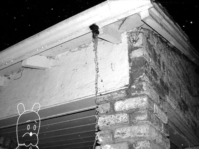 achewood December 25, 2001